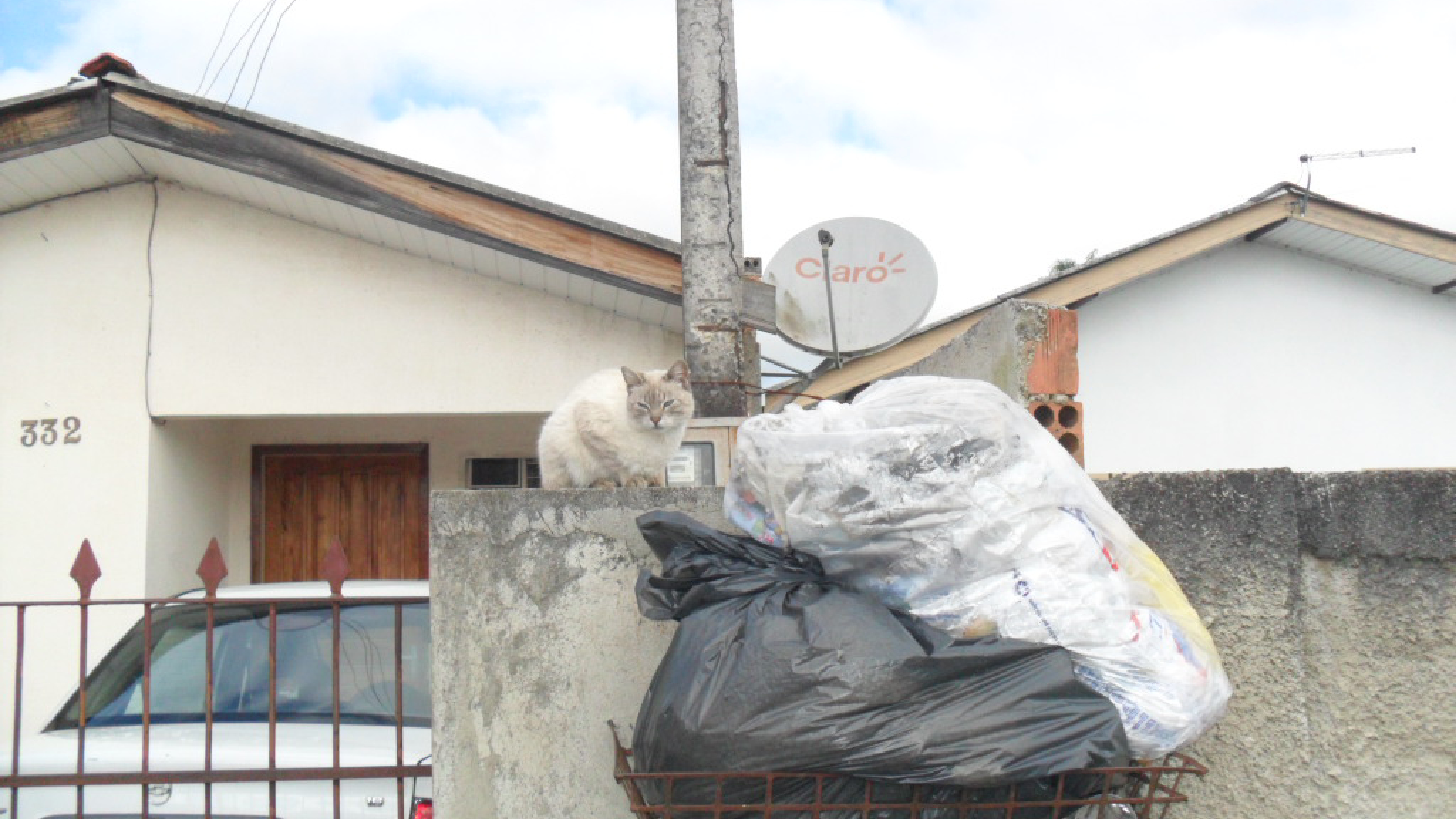 Fotografias - Expo Educom 201912