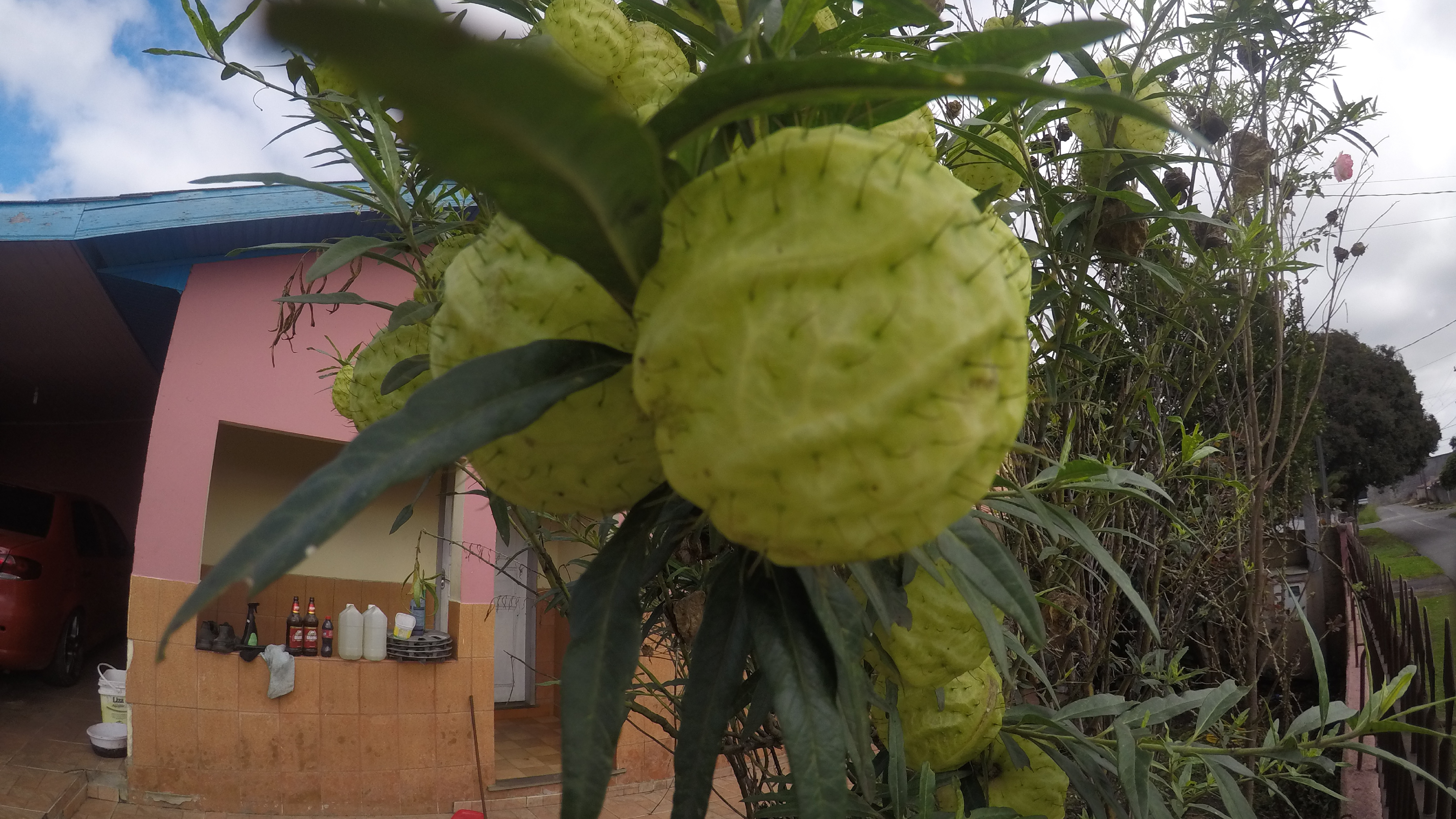 Fotografias - Expo Educom 201918