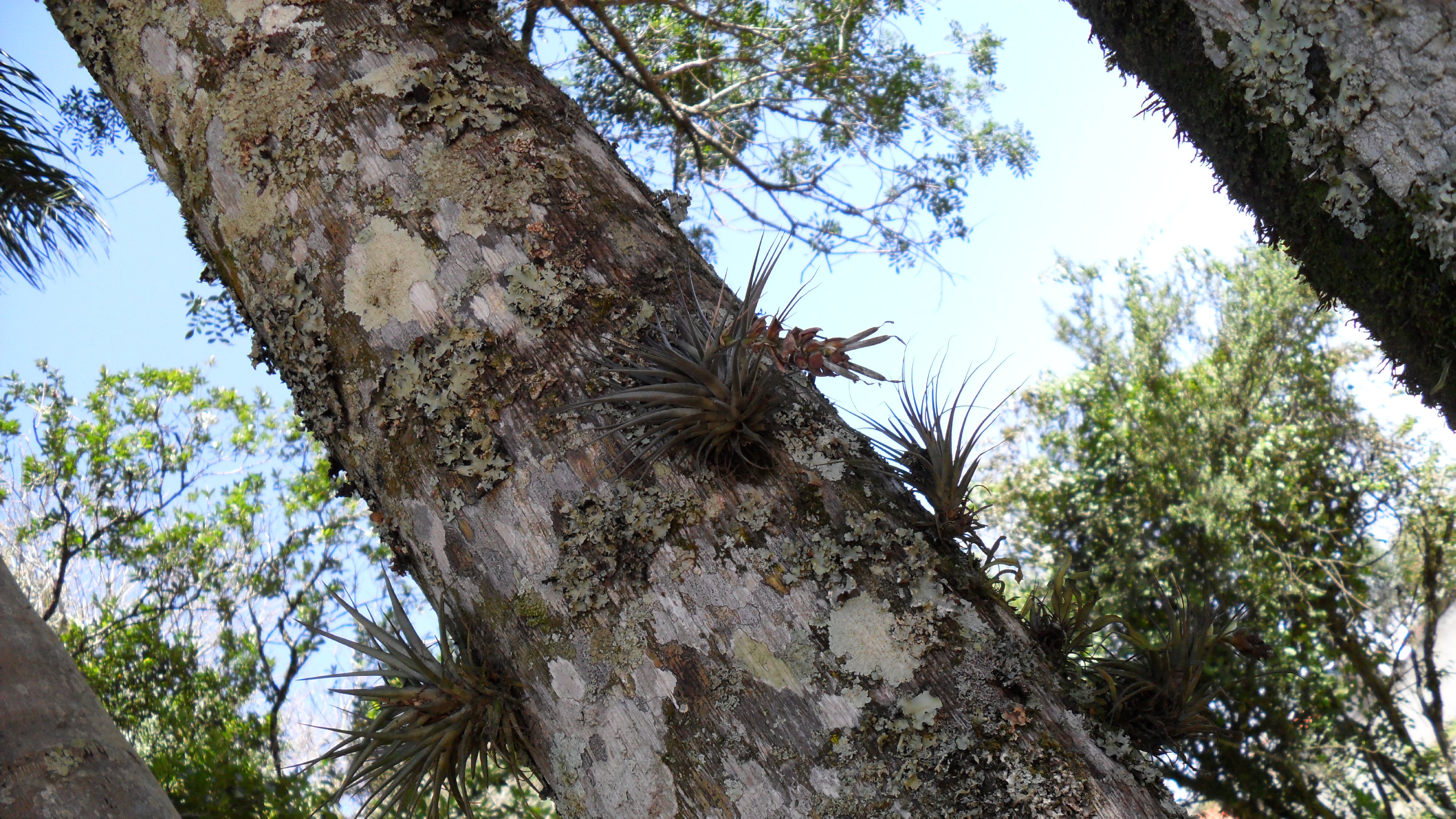 Fotografias - Expo Educom 201922
