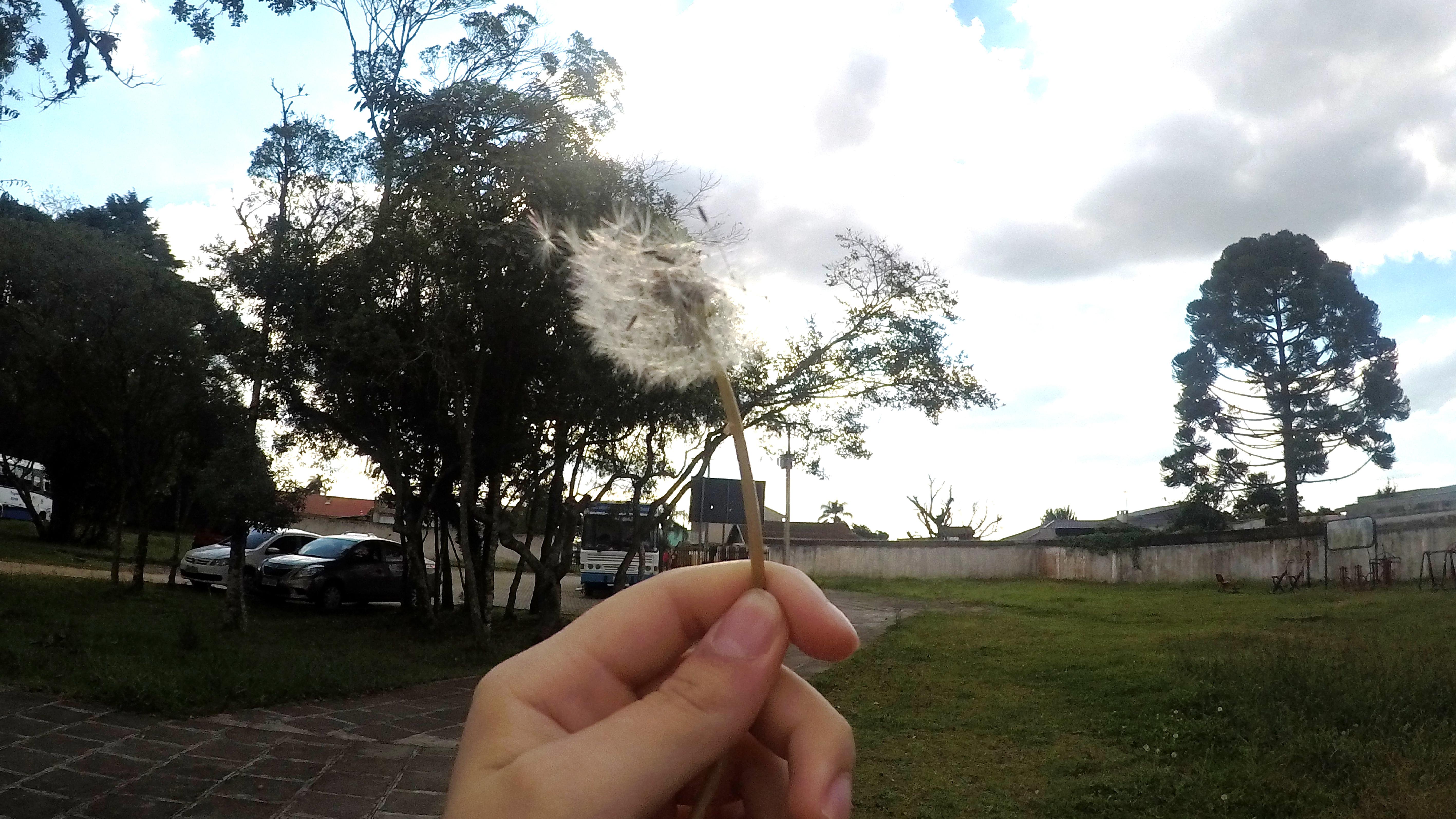 Fotografias - Expo Educom 201934