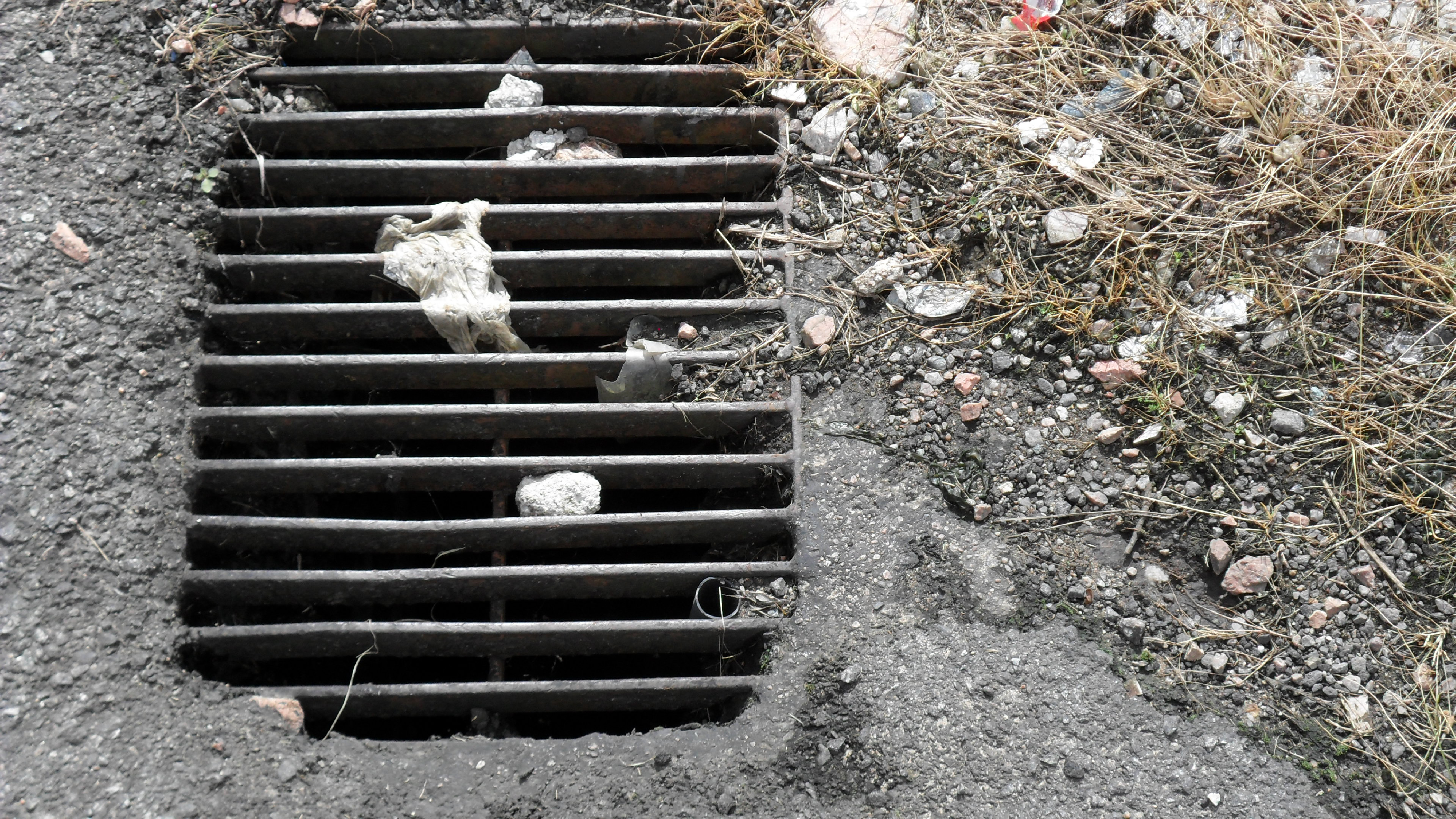 Fotografias - Expo Educom 20194